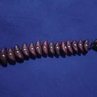 تسبیح هسته خرما|کلکسیون اشیاء عتیقه|رشت, معلولین|دیوار