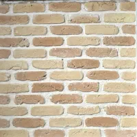 آجر آجرقزاقی آجرنما آجر نسوز|مصالح و تجهیزات ساختمان|زاهدان, |دیوار