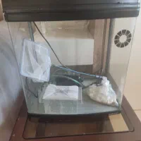 آکواریوم ماهی|ماهی|ارومیه, |دیوار