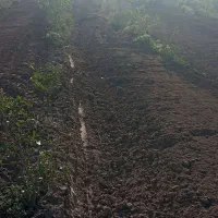 باغ پسته بینالود 3000متر 50دقیقه آب چاه|فروش دفتر صنعتی، کشاورزی، تجاری|ملک‌آباد, |دیوار