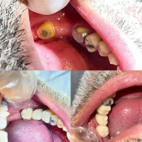 مطب دندانپزشکی در فاضل آباد با شرایط ویژه|خدمات آرایشگری و زیبایی|فاضل آباد, |دیوار
