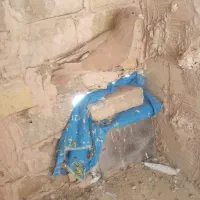 زرد کاکلی نر|پرنده|سبزوار, شهرک ابوذر|دیوار