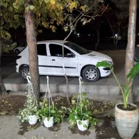 پژو۲۰۶تیپ۵