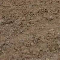 فروش دوهکتار زمین وچهارساعت آب