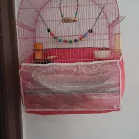 قفس بزرگ بفروش میرسد|لوازم جانبی حیوانات|باسمنج, |دیوار