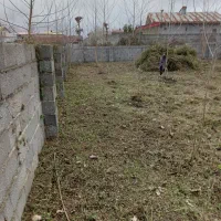 علف زنی زمینها با دستگاه علفزن|خدمات باغبانی و درختکاری|لنگرود, |دیوار