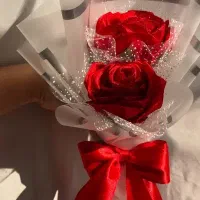 گل رز روبانی