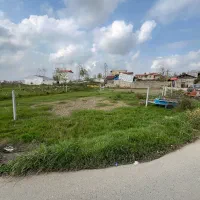 زمین سند دار|فروش زمین و ملک کلنگی|شفت, |دیوار