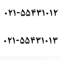 خط تلفن نقره ای