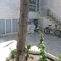 مرکز-شهر-ملکی-سند-تک-برگ