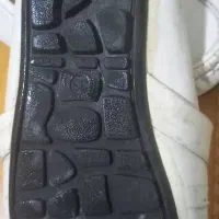 کالج|کیف، کفش، کمربند|رشت, معلم|دیوار