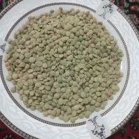 عدس امسال درجه یک ۱۵۰