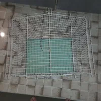 قفس پرنده