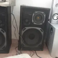 ضبط و باند سنسویی