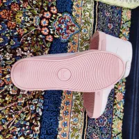 کتونی|کیف، کفش، کمربند|نورآباد, |دیوار