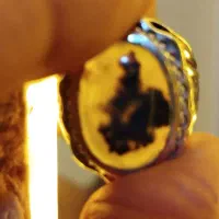 انگشتر شجر/۳۰ ۲۰ گرم عقیق تیغ   ابدار