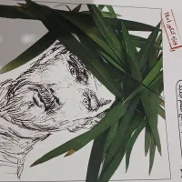 مجموعه کتابوسی دی زیست‌شناسی کنکورونوس مهدی آرامفر