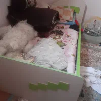 تخت کمد سالم مشکلی نداره