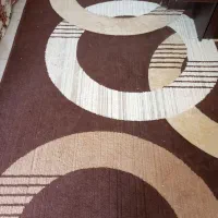 موکت فرش|فرش|فسا, |دیوار