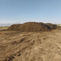 کود گاوی خشک مخصوص بدون تخم علف پوسیده