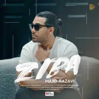 بلیط کنسرت مجید رضویی