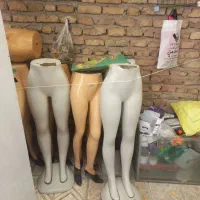 مانکن شلوار زنانه.فو ر ی