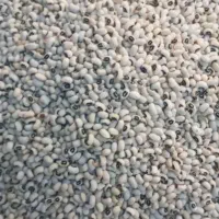 فروش ۳۰۰کلیو لوبیا آشی و ۲۰۰کیلو لوبیا چش بلبلی|عمده‌فروشی|دره شهر, |دیوار