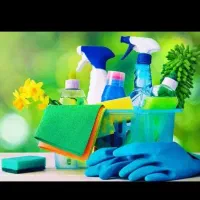 خانم هستم اگر کار در منزل میخواین تماس بگیرین