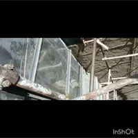 کانال سازی کانال کولر هود آبچک دریچه|خدمات پیشه و مهارت|شیراز, طلاب|دیوار