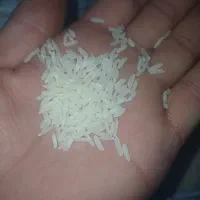 برنج تایلندی