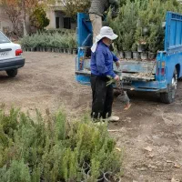 حمل بار اثاث منزل نخاله با وانت پیکان ونیسان کمپرس