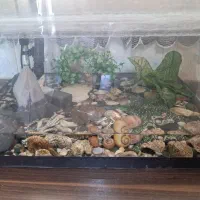 آکواریوم با تمامی لوازم