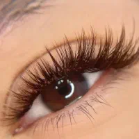 اموزش تخصصی لاین مژه|خدمات آرایشگری و زیبایی|شیراز, محراب|دیوار