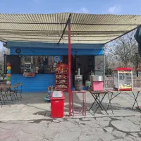 کار ساده خانم و واگذاری غرفه و مغازه