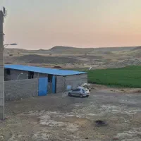 چوپان