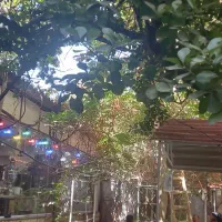 اجاره سالیانه رستوران فضای دنج دلنشین