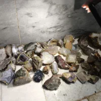 سنگ شجر و قیمتی.گوهر