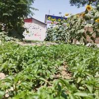 نیروی ماهر و نیمه ماهر کارواش|استخدام حمل و نقل|قم, شهرک مهدیه (مدرس)|دیوار