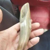 ماساژور شاخ بوفالو