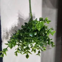 سبد حصیری، جاشمعی، دیوارکوب