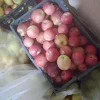 سیب پادنا ارگانیک|خوردنی و آشامیدنی|شیراز, شهرک فرزانگان|دیوار