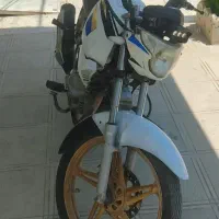 دینو شکاری
