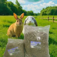 یونجه|لوازم جانبی حیوانات|تهران, تهرانسر شرقی|دیوار