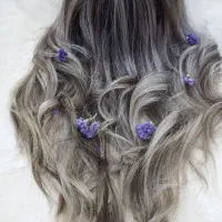 تخفیف ویژه ویژه لایت و مش  ورنگ