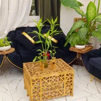 مبل پنج نفره کلاسیک|مبلمان خانگی و میز عسلی|لنگرود, |دیوار