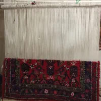فرش|فرش|زنجان, |دیوار
