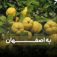 فروش نهال به اصفهان