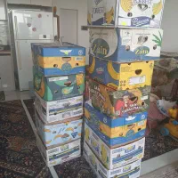 کارتن اسباب کشی