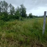 باغبان دائم با جای خواب سیاهکل