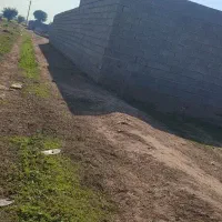 زمین باغچه